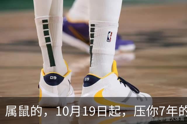 属鼠的，10月19日起，压你7年的死结，终于松了，从此一飞冲天