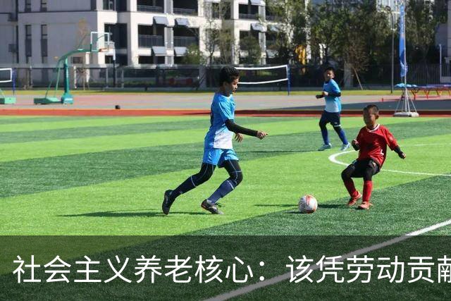 社会主义养老核心：该凭劳动贡献定待遇，绝不该按资本多少分高低